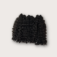 Burmese Curly Bundle Deals (3)