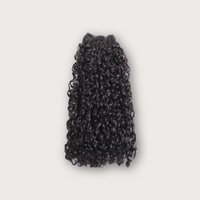 Fiji Curly Bundle